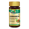 Zandu Ashwagandha Immunity Booster Capsules