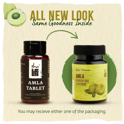 Isha Life Nelli Podi (Amla Powder)