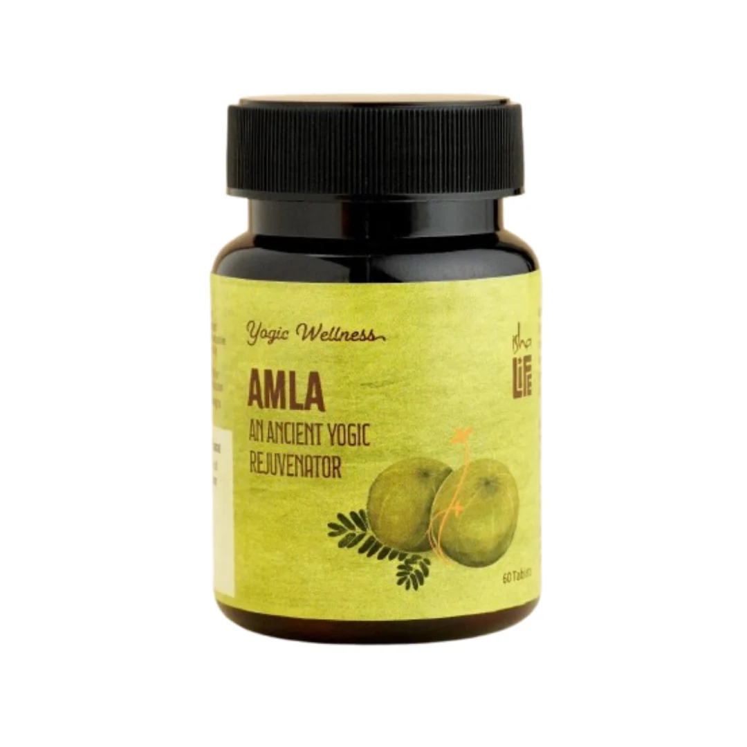 Isha Life Nelli Podi (Amla Powder)