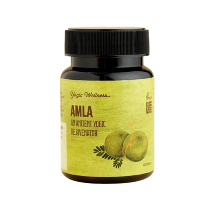 Isha Life Nelli Podi (Amla Powder)