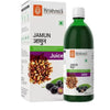 Krishna's Herbal & Ayurveda Jamun Juice