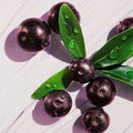 Acai Berry