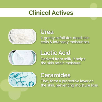 The Derma Co 4% Urea Deep Moisturizing Cream - Indyancart
