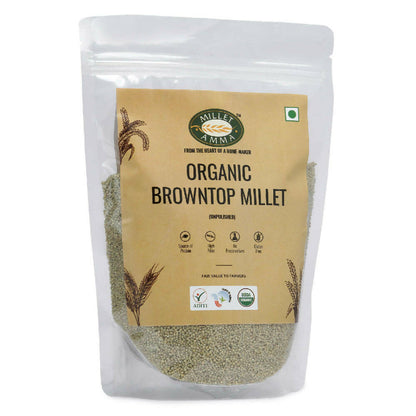 Millet Amma Organic Browntop Millet Grains - Indyancart