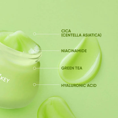 Dot & Key CICA Niacinamide Night Gel - Indyancart