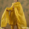 Dhiyona IE Ethnic Motifs Embroidered Regular Straight Kurta with Trousers & Dupatta