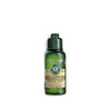 L'Occitane Volume & Strength Shampoo
