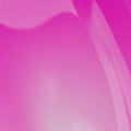 Orchid Haze