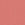 Pink Lady