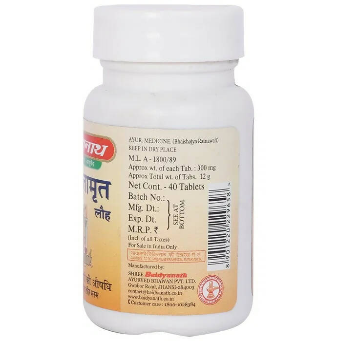 Baidyanath Jhansi Saptamrit Lauh Tablets - Indyancart