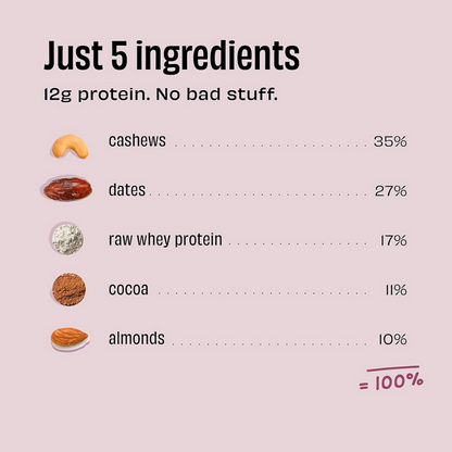 The Whole Truth Mini Protein Bars - Double Cocoa