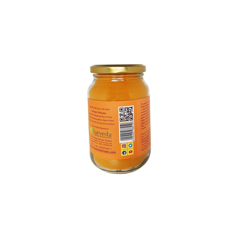 Nature's Trunk Curcumin Rich Turmeric Powder
