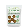 Yuvagrow Milk Flower Biscuits