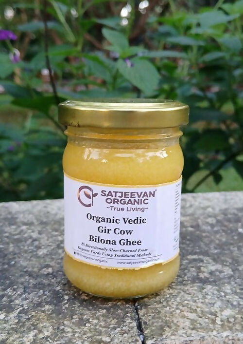 Organic Satjeevan Vedic Gir Cow Bilona Ghee in a glass jar with a golden spoon, showcasing the rich, creamy texture.