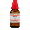 Dr. Willmar Schwabe India Bacillus Coli Dilution