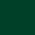 03 Enchanting Forest