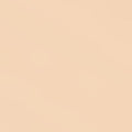 04 Medium Beige