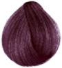 Burgundy 3.16
