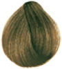 Dark Blonde 6