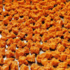 Paranjape Foods Mix Dalinche Sandge