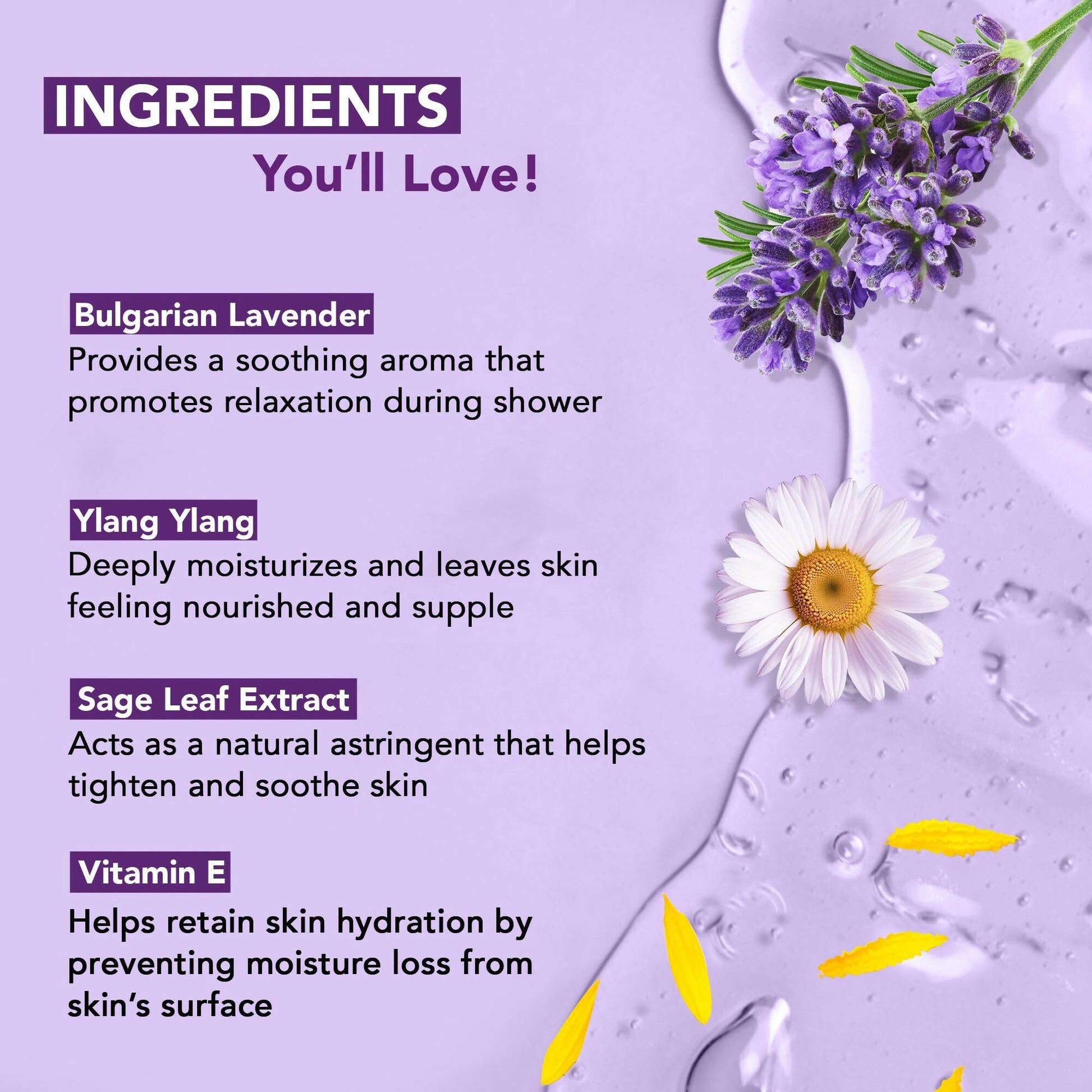 Botanic Hearth Bulgarian Lavender and Ylang Ylang body wash with Vitamin E and sage leaf extracts, showing the bottle and natural ingredients.