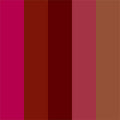 Best In Bold Collection