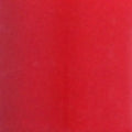 Apple Red