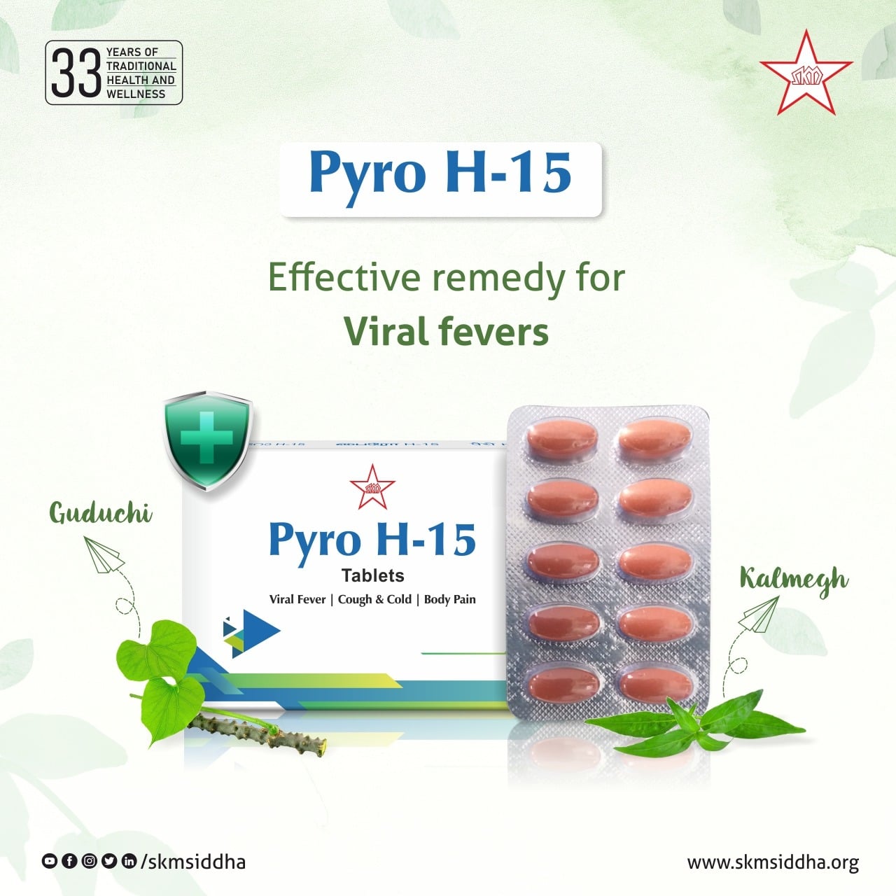 Skm Ayurveda Pyro H