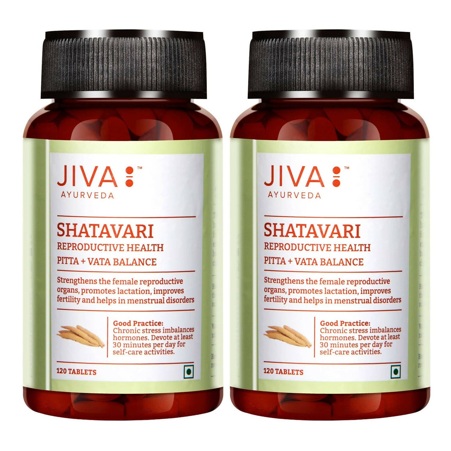 Jiva Ayurveda Shatavari Tablets - Indyancart