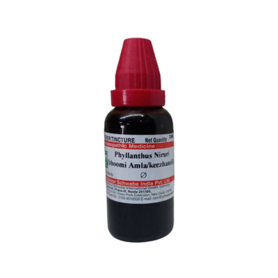 Dr. Willmar Schwabe India Phyllanthus Niruri Mother Tincture Q