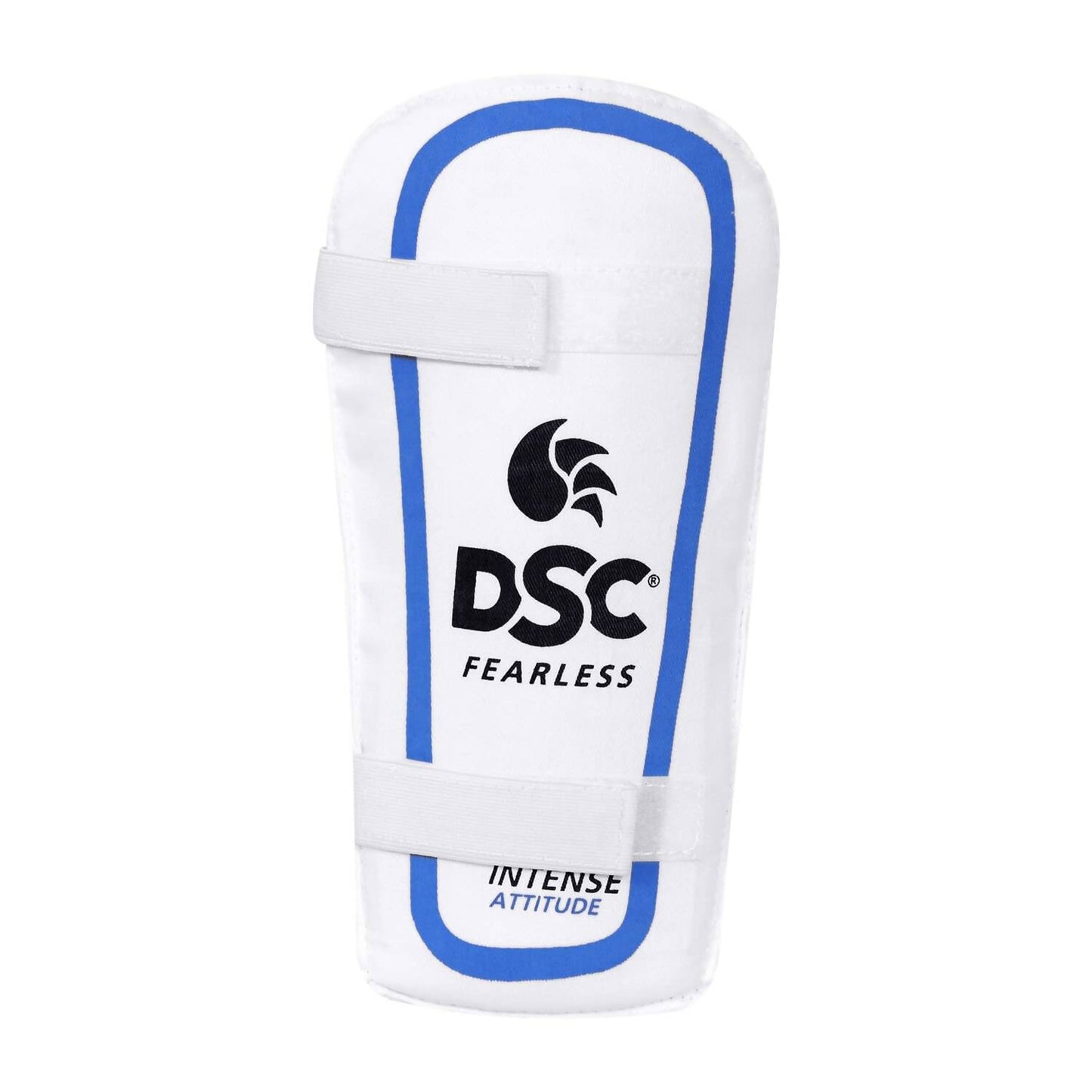DSC Economy Kashmir Willow Cricket Kit Size 5, including bat, ball, and protective gear for youth cricket players.