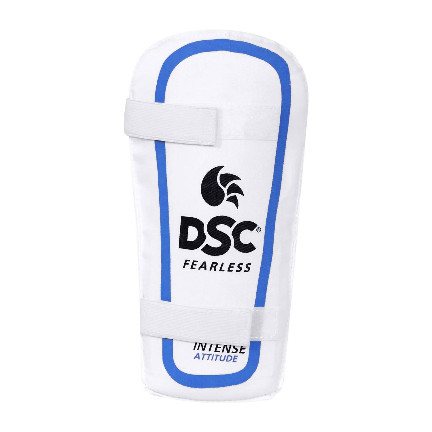 DSC Economy Kashmir Willow Cricket Kit Size 5, including bat, ball, and protective gear for youth cricket players.