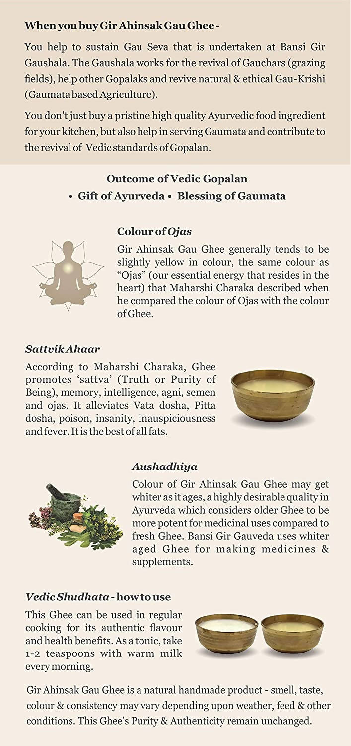 Pure Gir Ahinsak Bilona Ghee from Gir Gauveda, showing creamy A2 cow ghee in a traditional container.