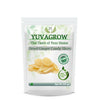 Yuvagrow Dried Ginger Slices