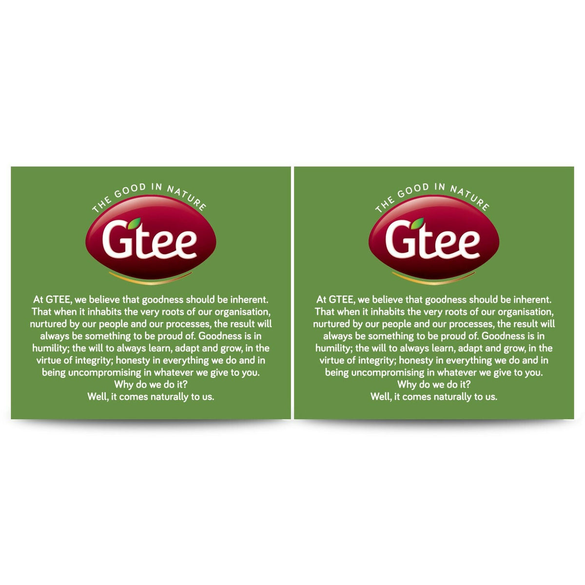 Gtee Green Tea Bags - Regular