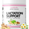 Just Vedic Lactation Support Drink Mix
