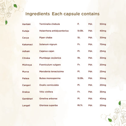 Shreevarma Arsho Care Capsules