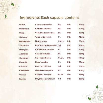 Shreevarma Reknown Capsules