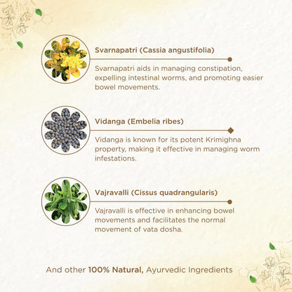 Shreevarma Detox Choornam