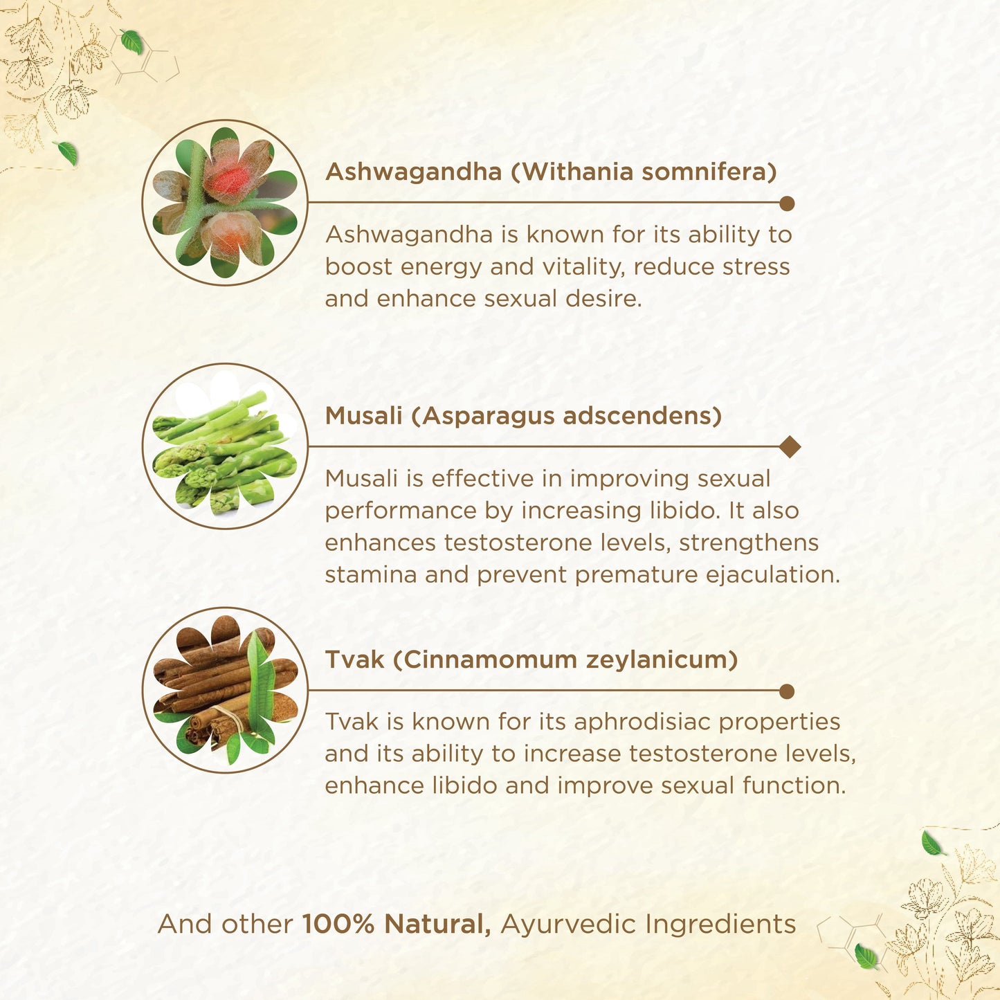 Shreevarma Vajee Care Choornam Men’s Wellness