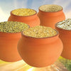 Siridhanyalu Millets - Siridhanya 5 Types Of Unpolished Organic Millets Rice Little, Kodo, Browntop Barnyard & Foxtail