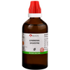 Bjain Homeopathy Gymnema Sylvestre Mother Tincture Q