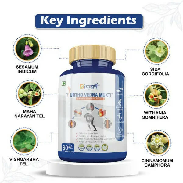 Divya Shree Urtho Vedna Mukti Capsules