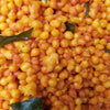 TRU Mishra's Khara Bundi