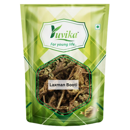 Yuvika Laxman Booti Ayurvedic herb in a glass jar, showing green dried plant leaves for traditional herbal medicine.