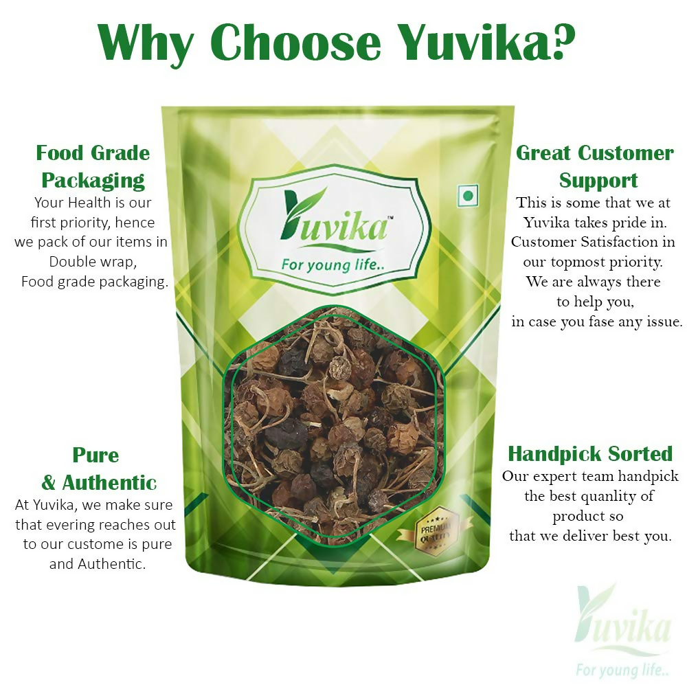 Yuvika Makoy (Solanum nigrum) Ayurvedic product showing dried black night shade leaves in a natural setting.