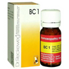 Dr. Reckeweg Bio Combination 1 (BC 1) Tablets