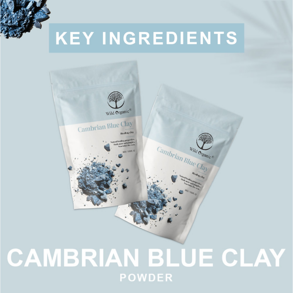 Wild Organic Cambrian Blue Healing Clay Powder for face masks, showing the natural blue powder in a container.