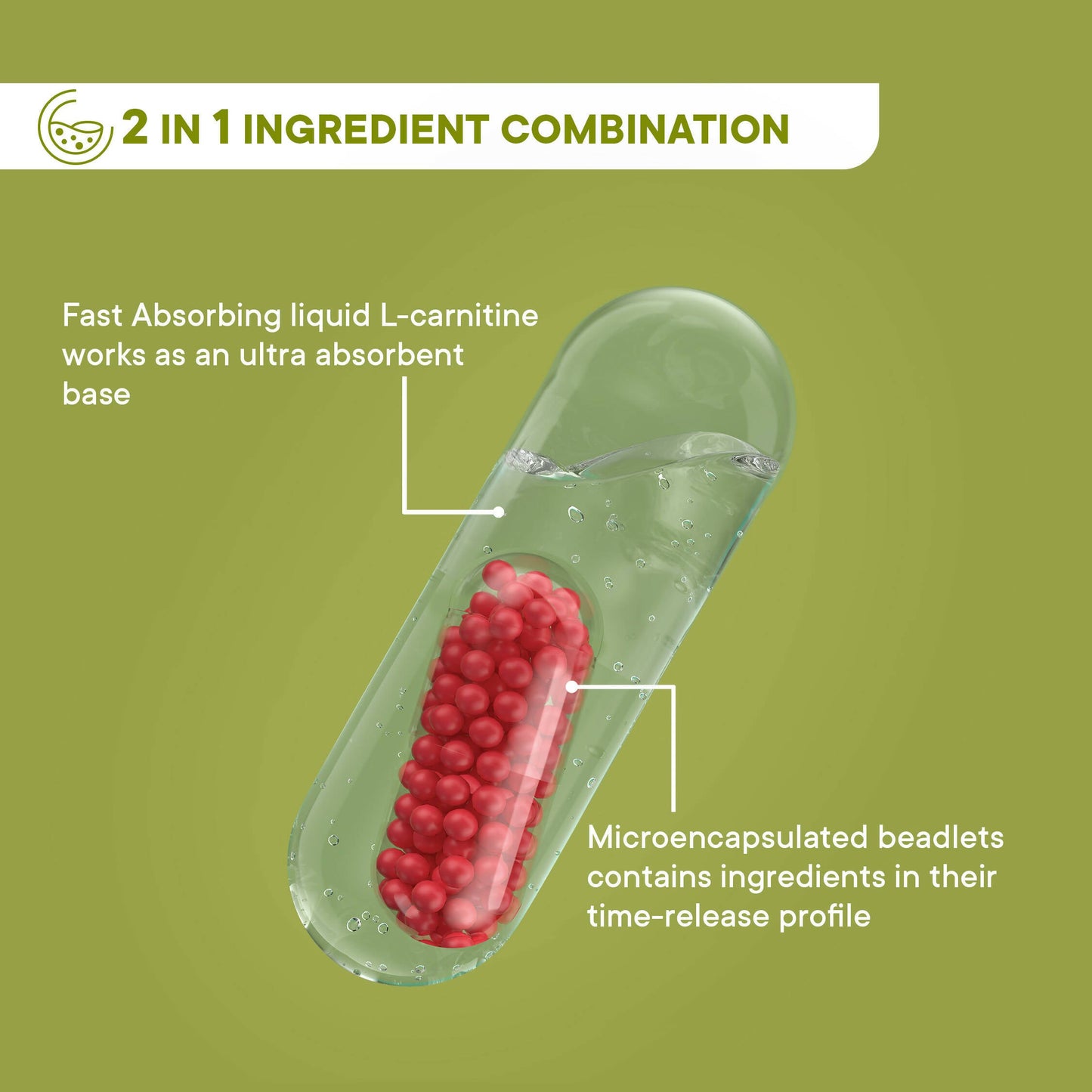 Wellbeing Nutrition Slow | Burn Capsules - Indyancart