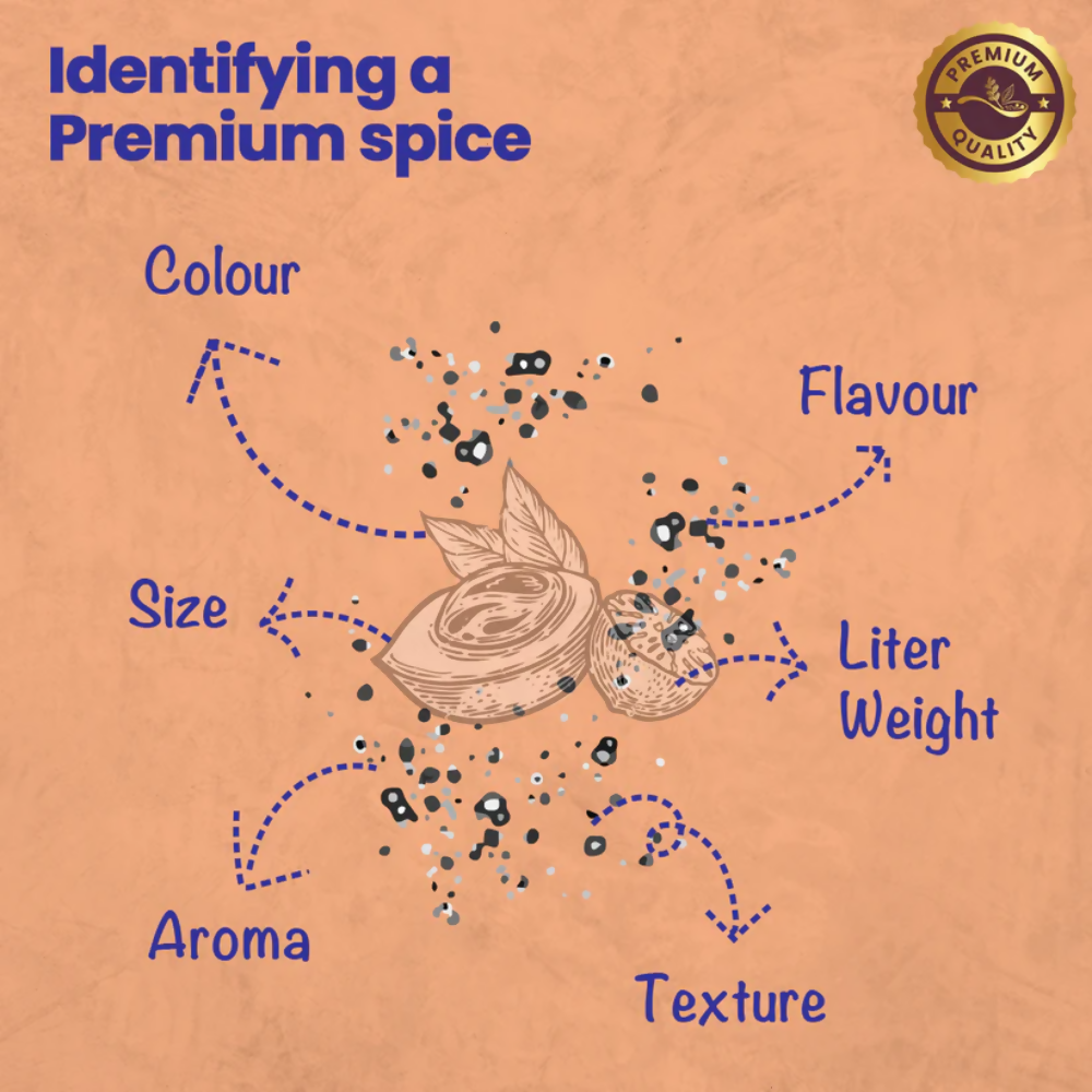 Crista Spices Kitchen Ground Spices (Masala) Basics